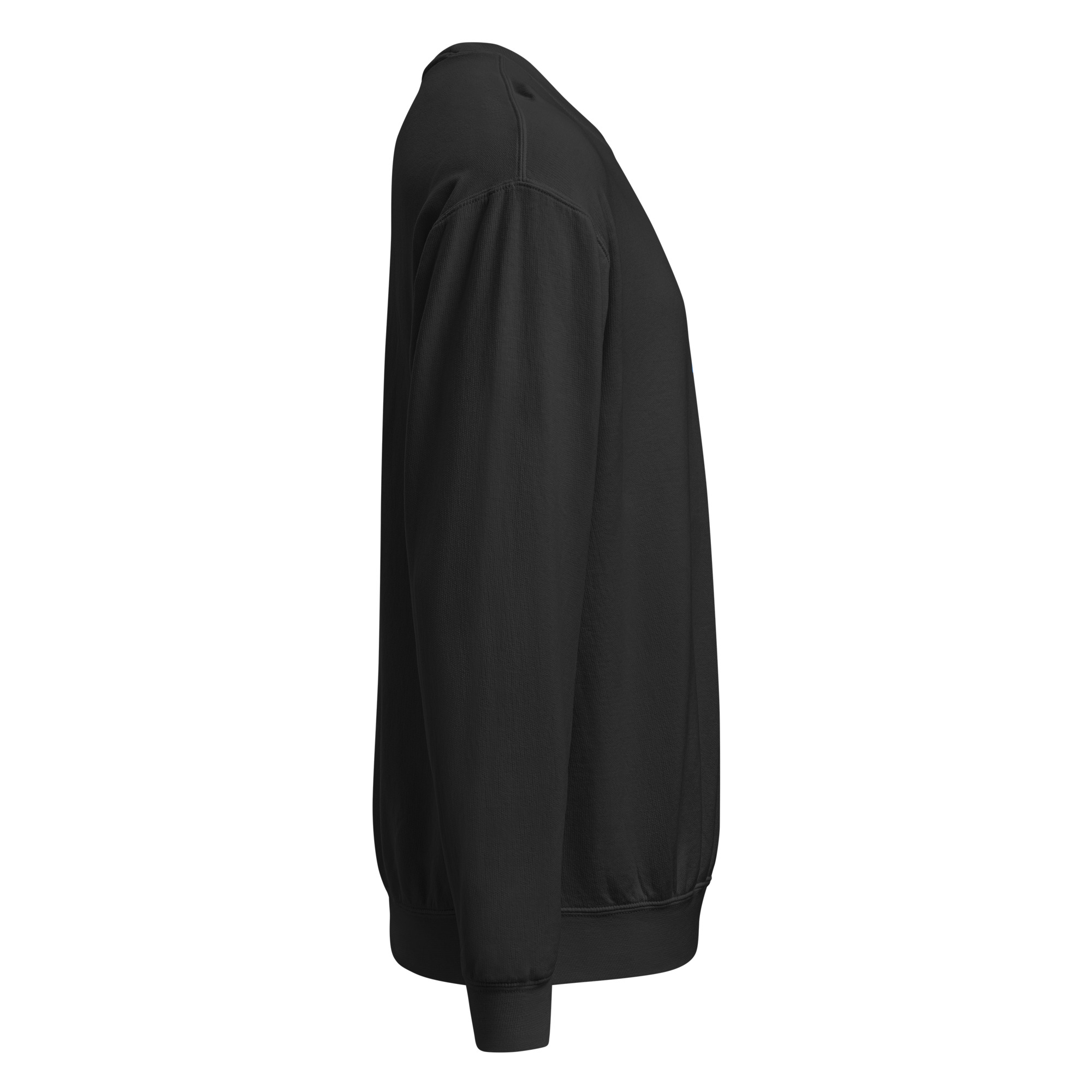 Garment-Dyed Fleece Error Crewneck - Image 32