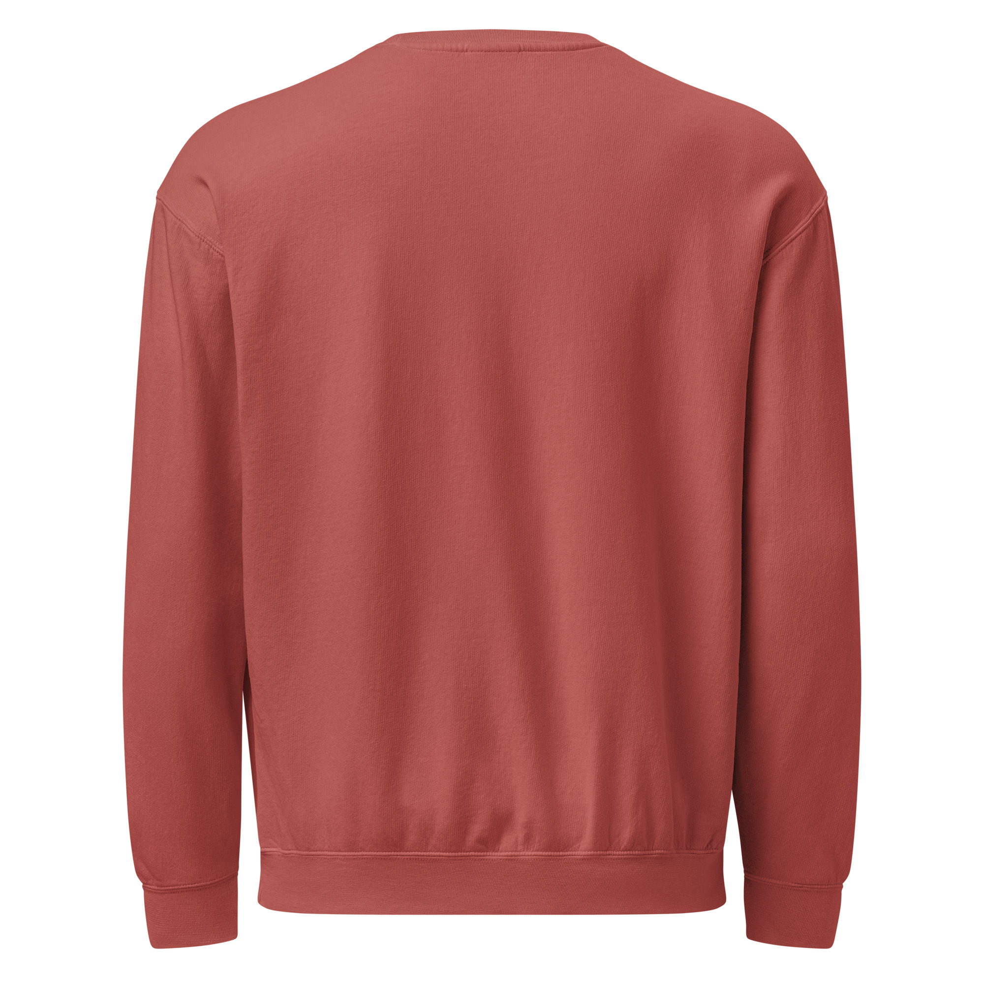 Garment-Dyed Fleece Error Crewneck - Image 14
