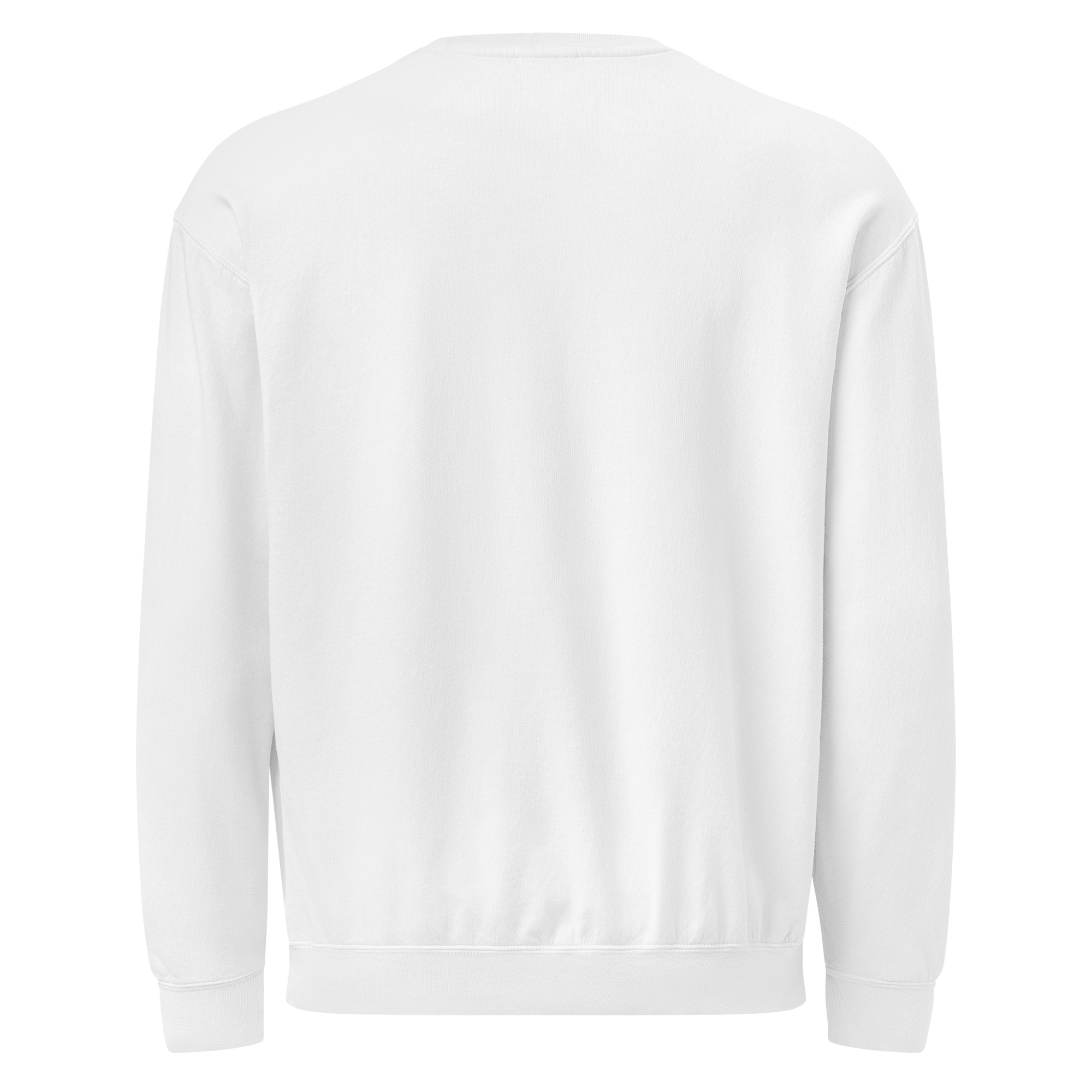 Garment-Dyed Fleece Error Crewneck - Image 21