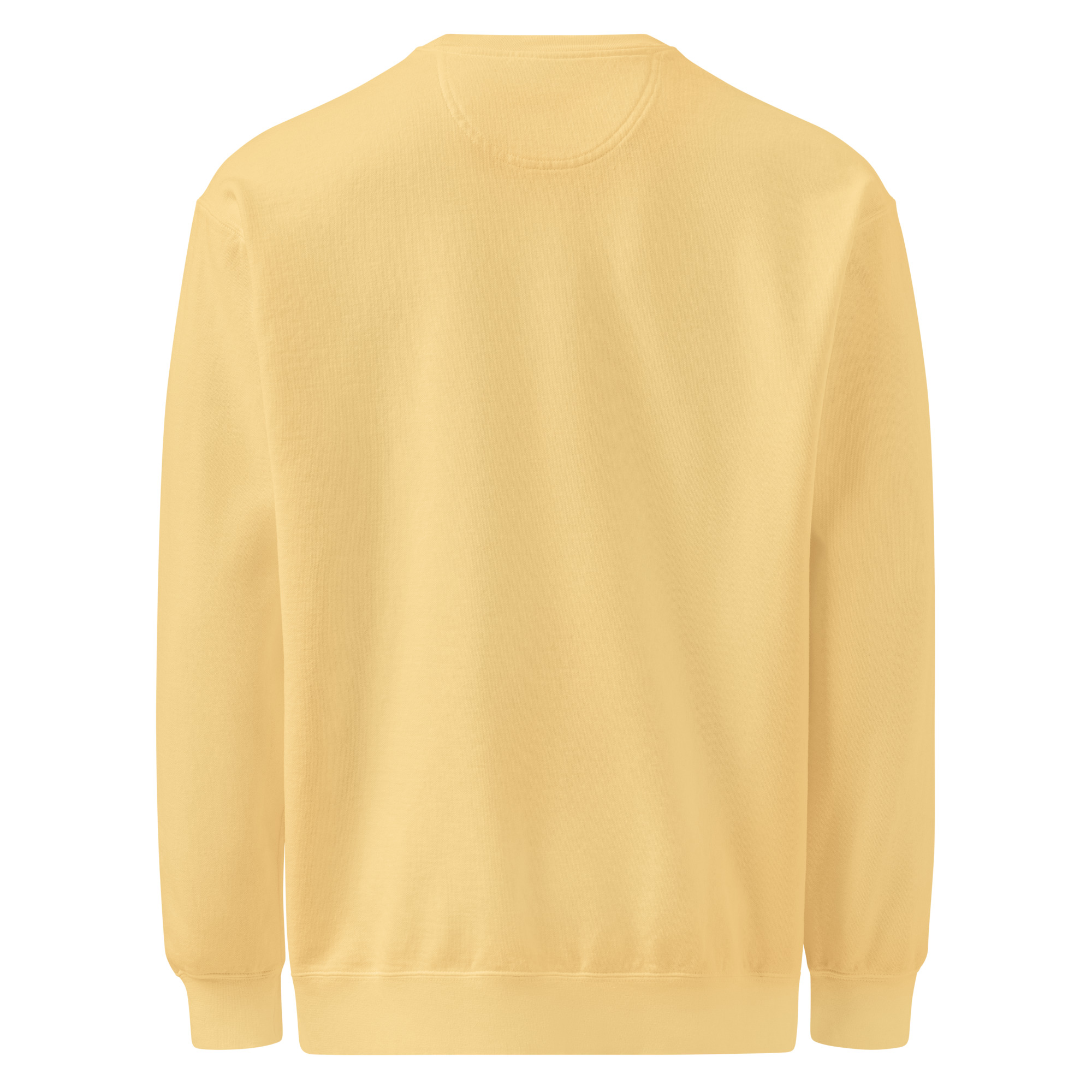 Back to peak garment-dyed sweatshirt - Image 29