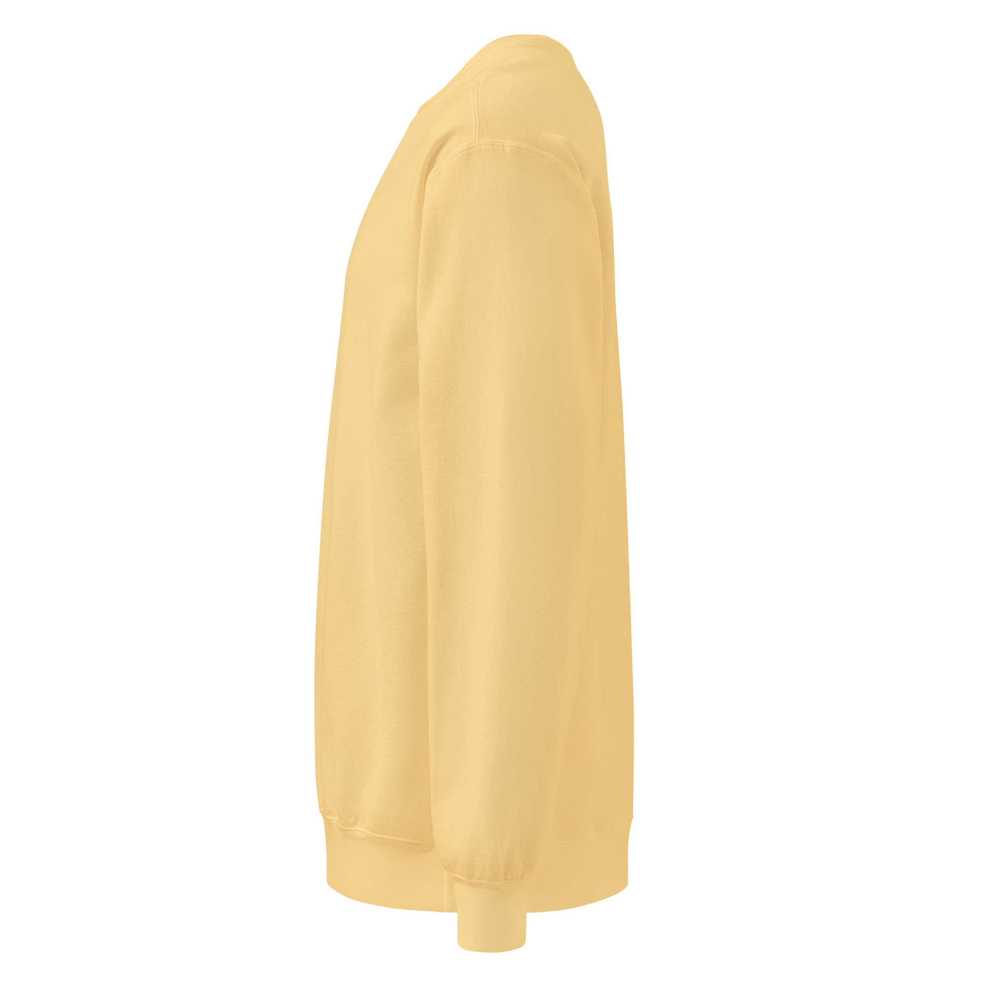 Back to peak garment-dyed sweatshirt - Image 44