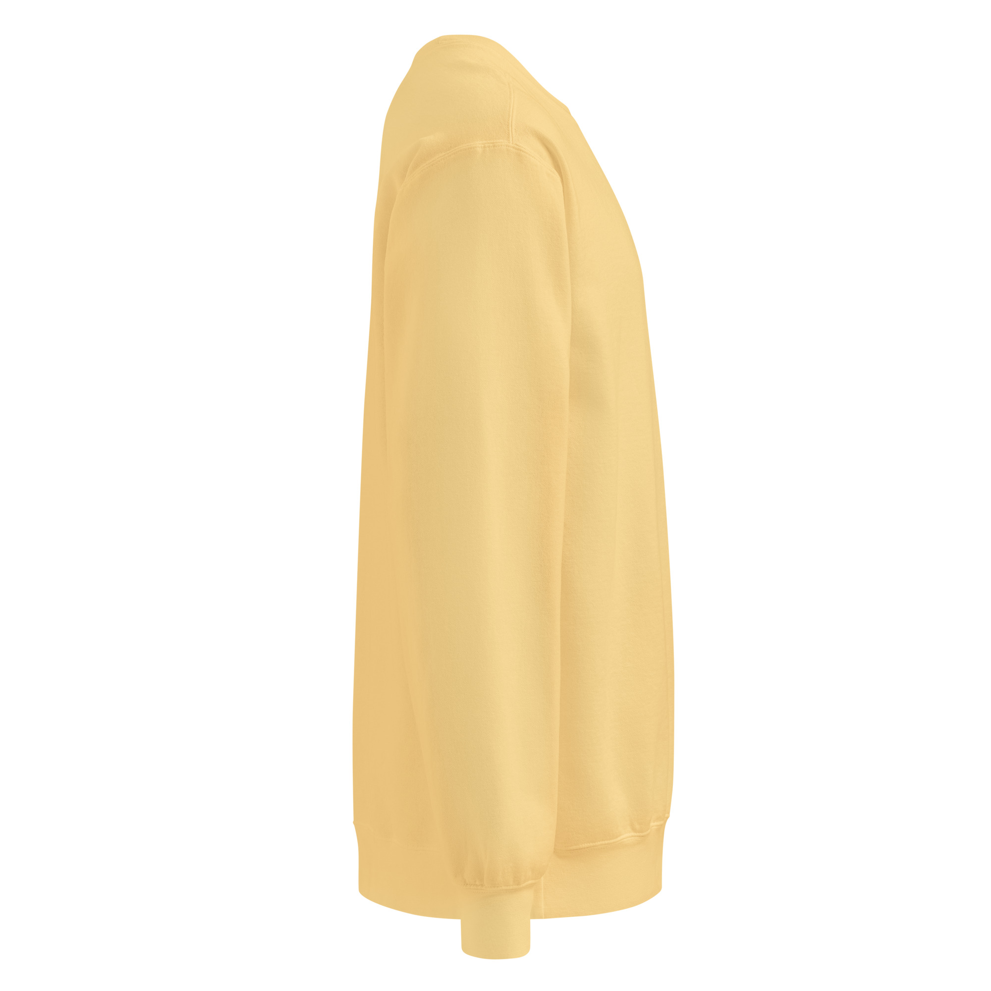 Back to peak garment-dyed sweatshirt - Image 59