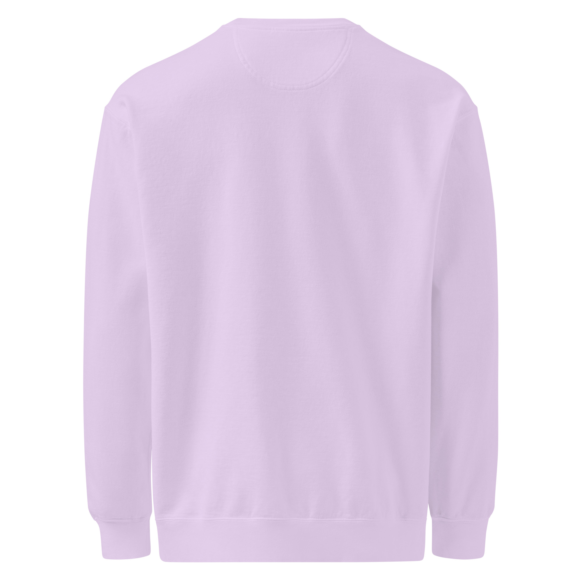 Back to peak garment-dyed sweatshirt - Image 28