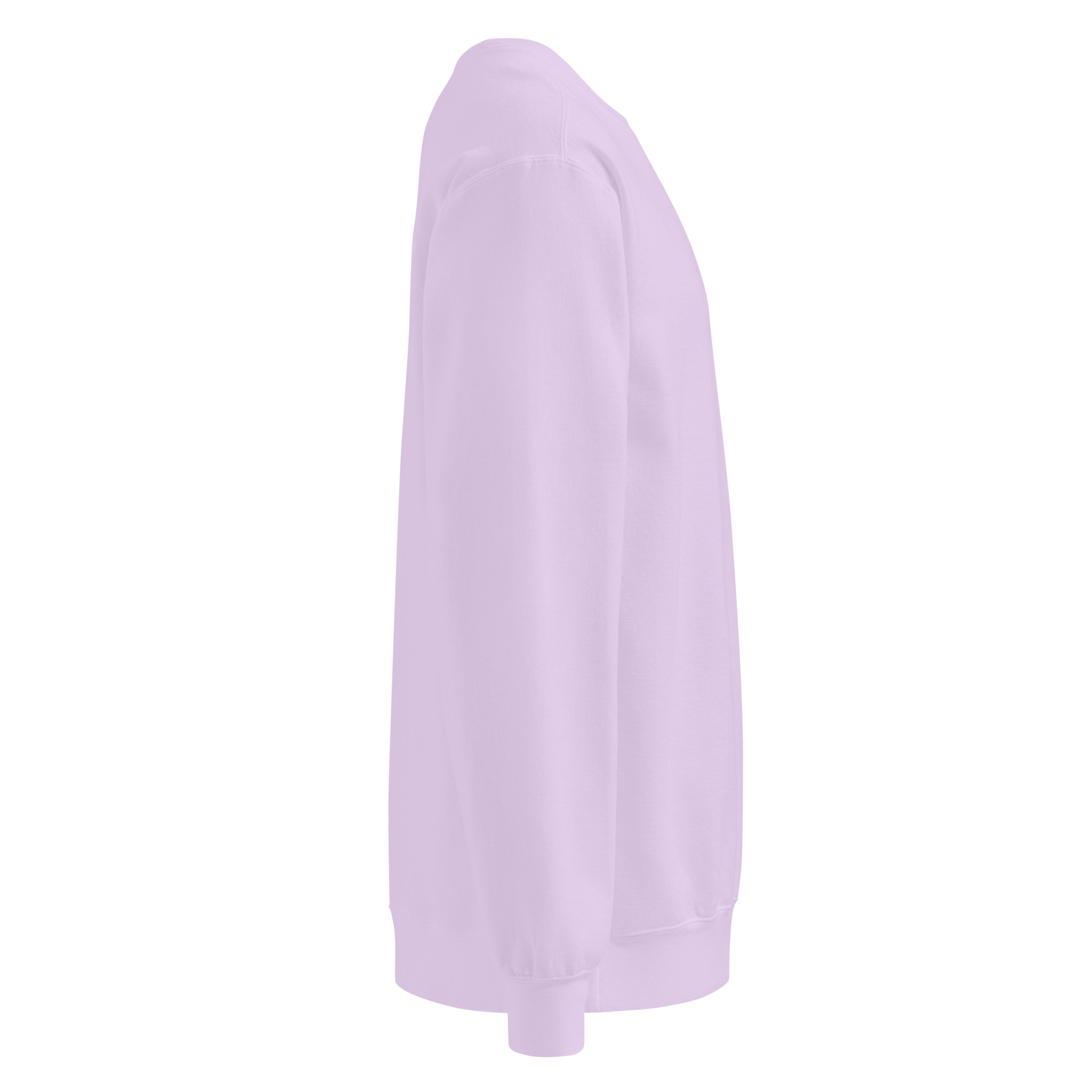 Back to peak garment-dyed sweatshirt - Image 58