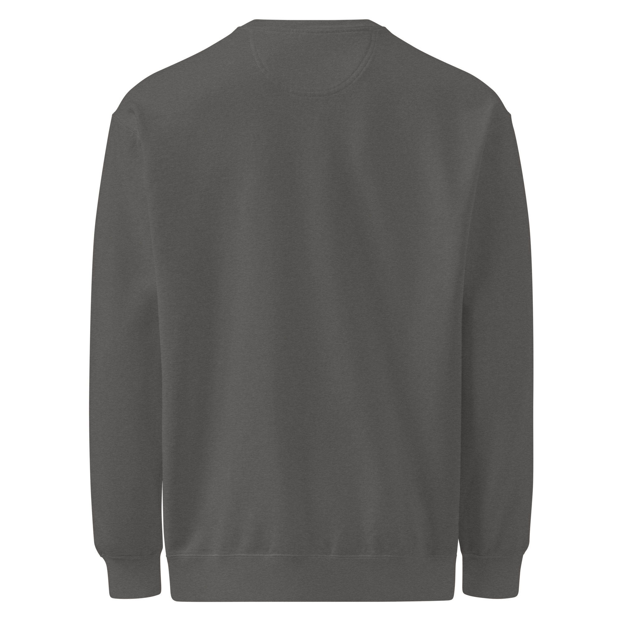 Back to peak garment-dyed sweatshirt - Image 17