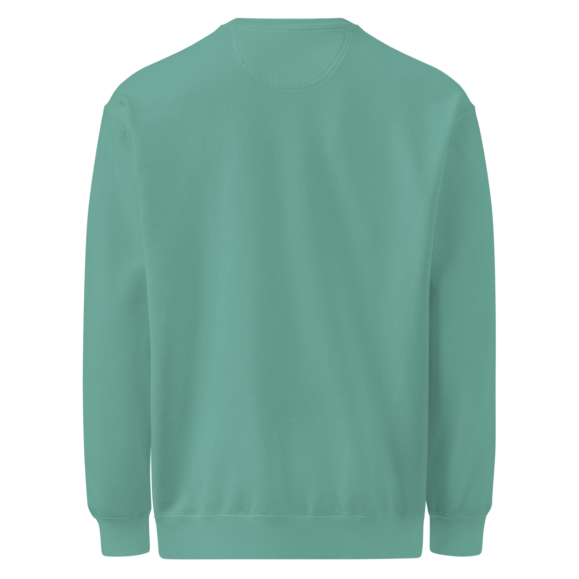 Back to peak garment-dyed sweatshirt - Image 27