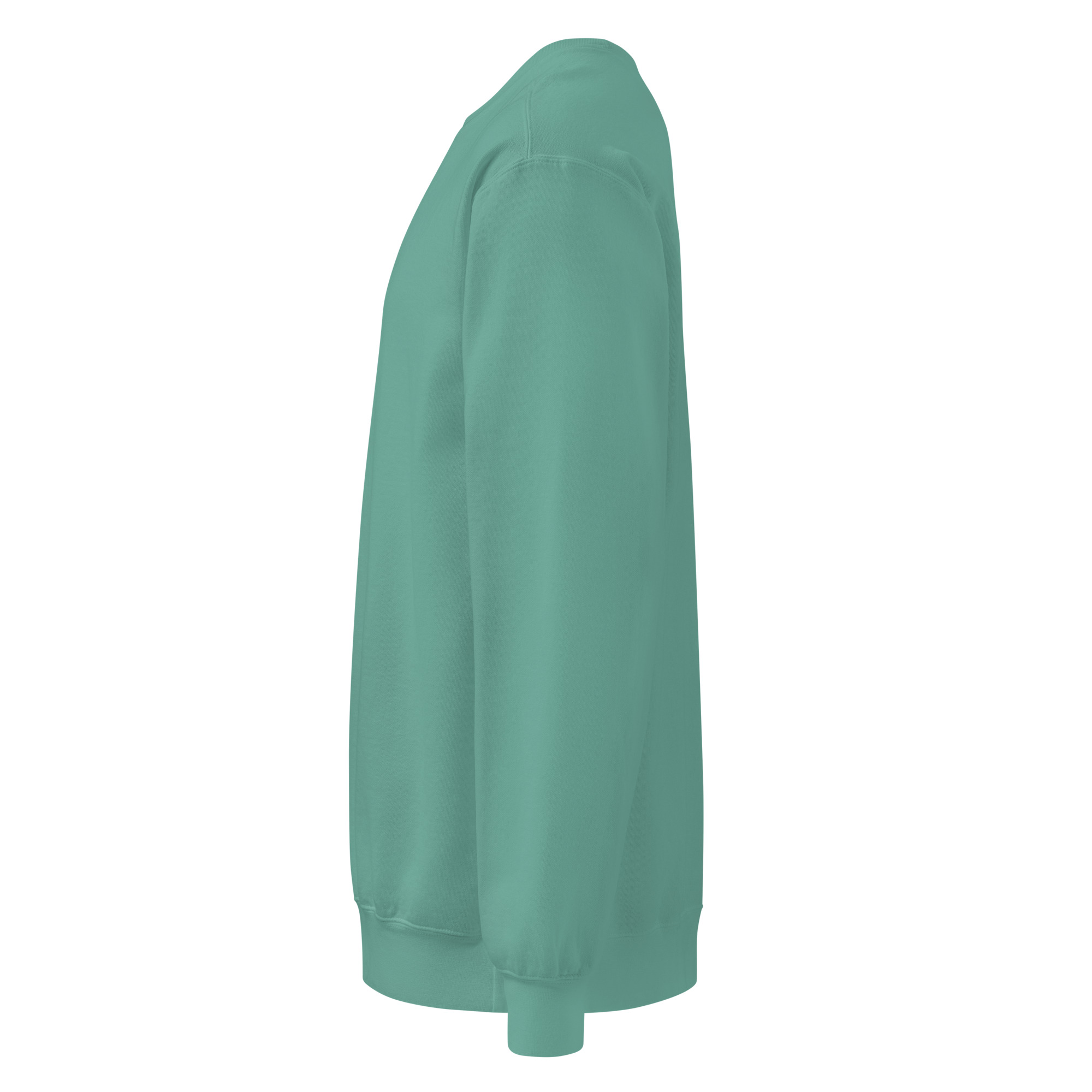 Back to peak garment-dyed sweatshirt - Image 42