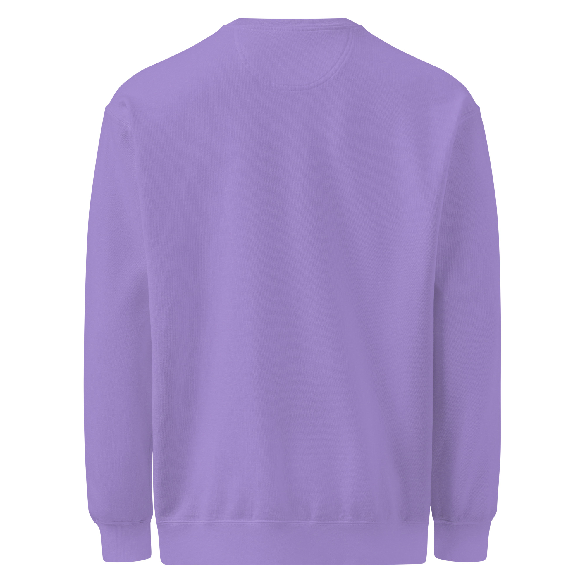 Back to peak garment-dyed sweatshirt - Image 26