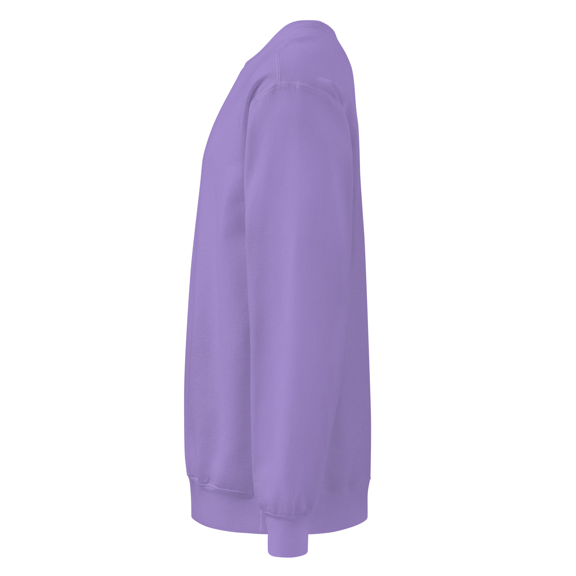 Back to peak garment-dyed sweatshirt - Image 41