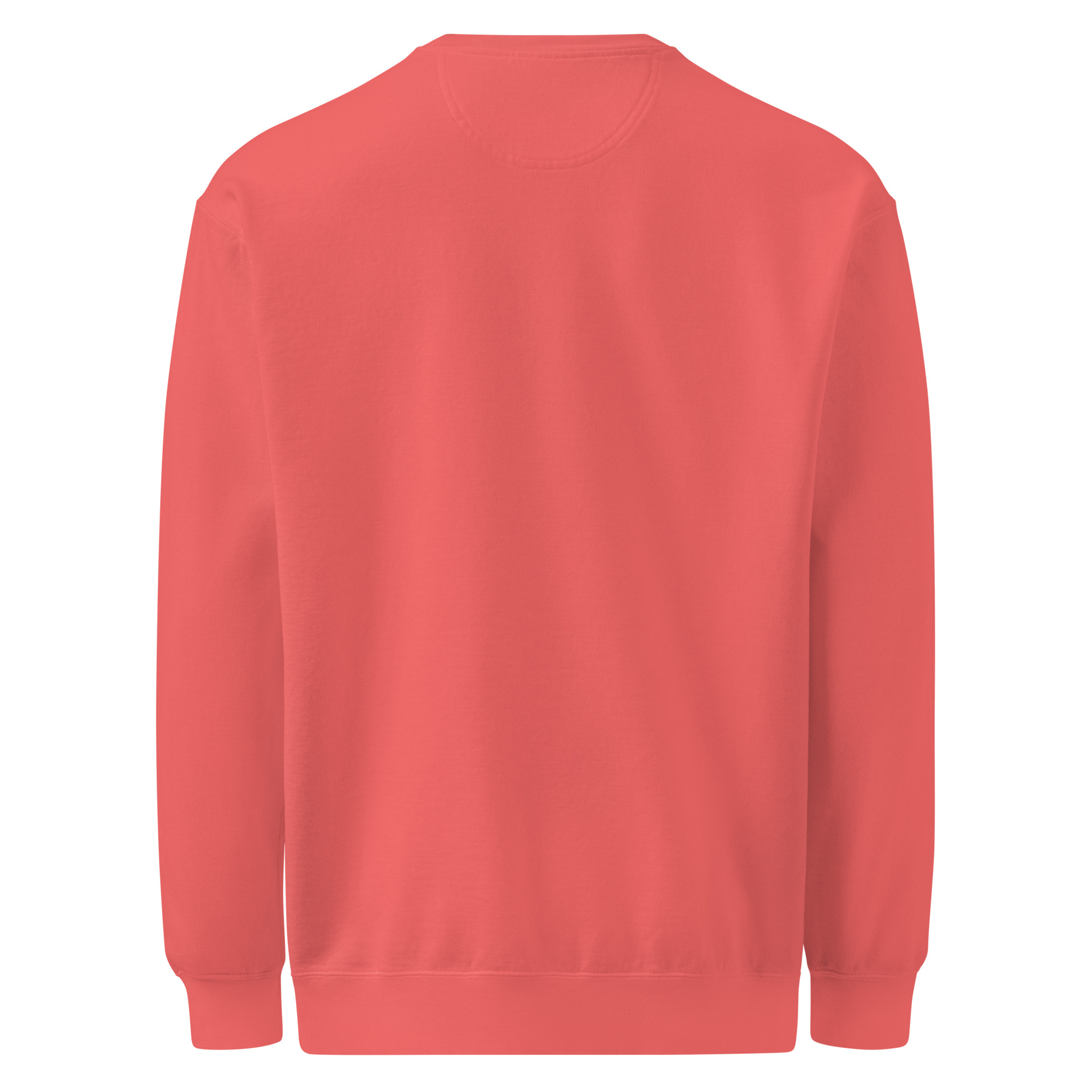 Back to peak garment-dyed sweatshirt - Image 24