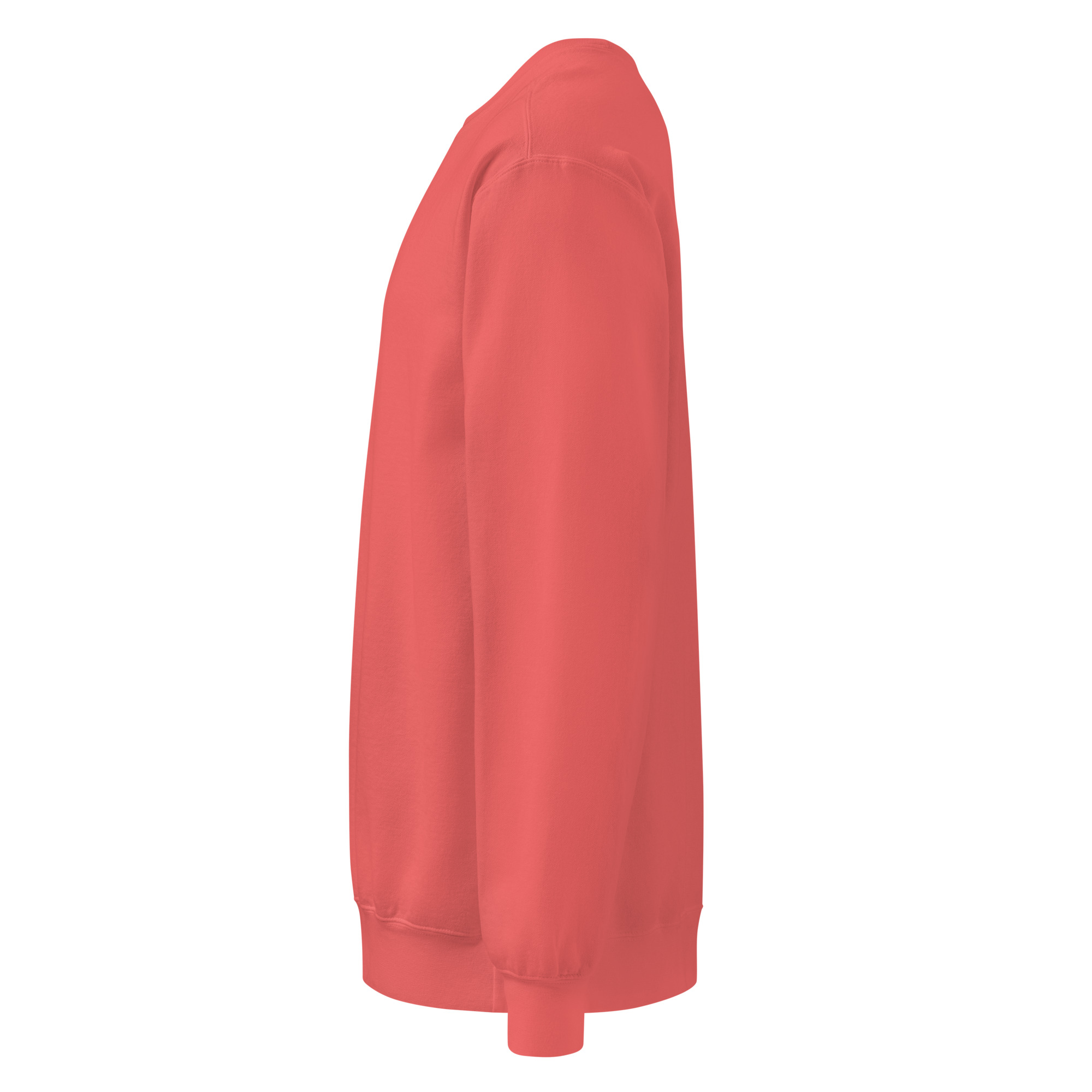 Back to peak garment-dyed sweatshirt - Image 39