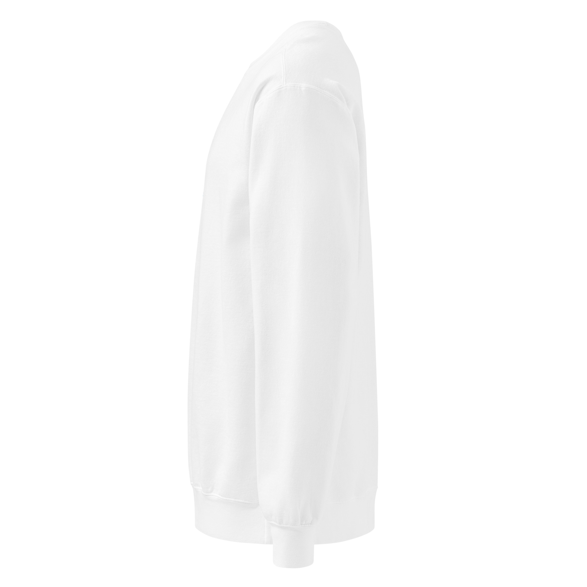 Back to peak garment-dyed sweatshirt - Image 45