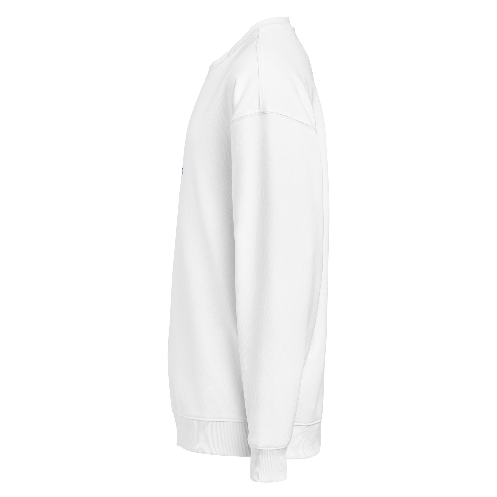 Oversized Back to Peak Sweatshirt - Image 12