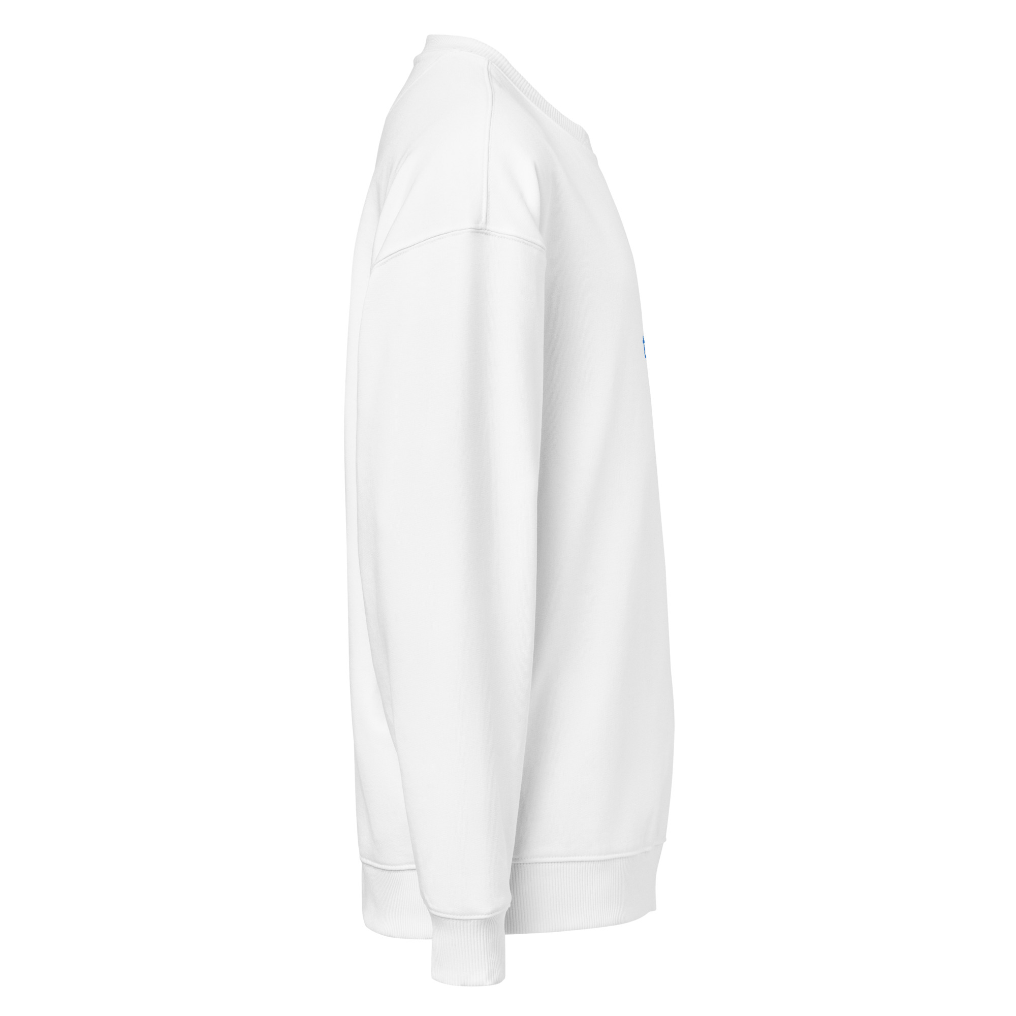 Oversized Back to Peak Sweatshirt - Image 16