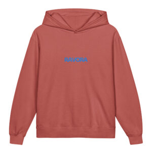 Alternative view of Youth RAVORA Lightwear Logo Hoodie