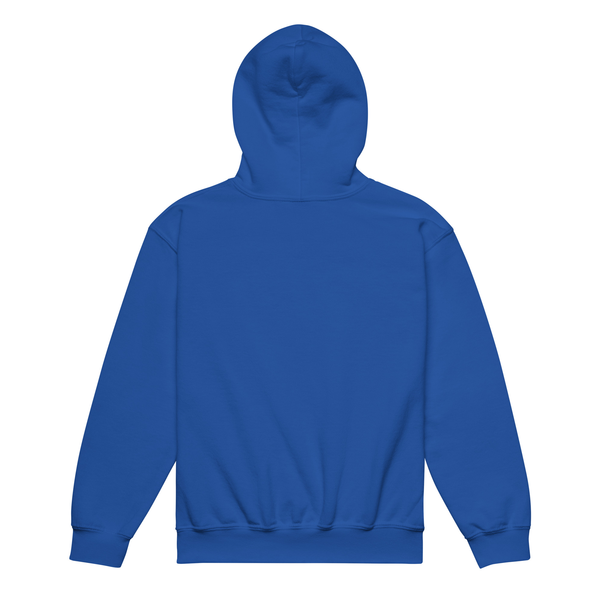 Youth RAVORA Heavy Blend Street Hoodie - Image 12